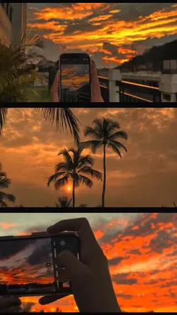 filter senja