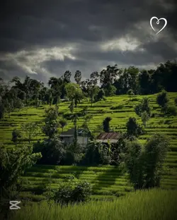 Nepali you 
