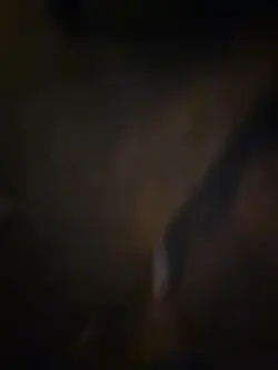 😻😻