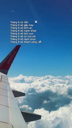 Manifest tháng 8