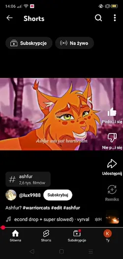 ashfur edit