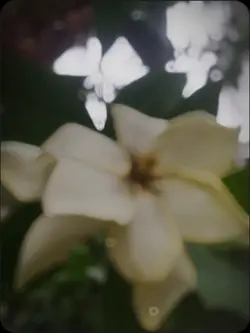 আল্লাহই আমার সব