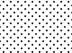 animal katseye