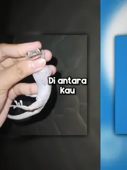 Di antara kau dana