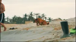 Travel cinematic