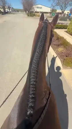 Hoof sounds 😍