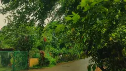 aesthetic cinematic