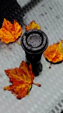 Kaldım bir başıma 