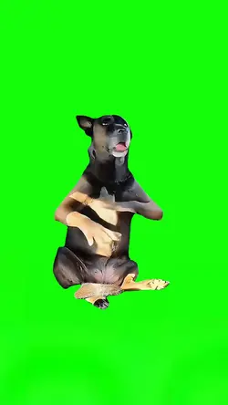 Imma Bite You 