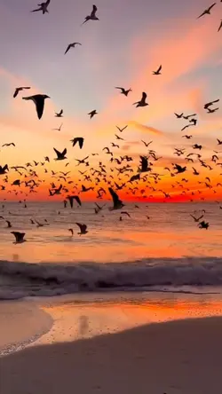 Harika slowmotion