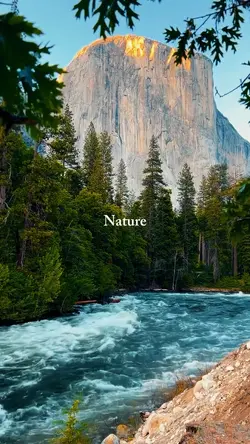 nature therapy