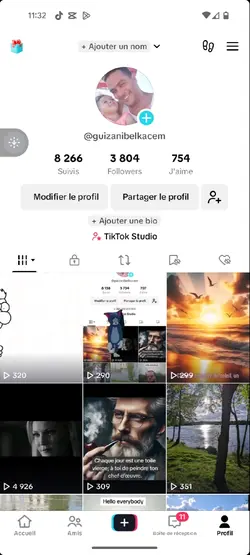 pub profil