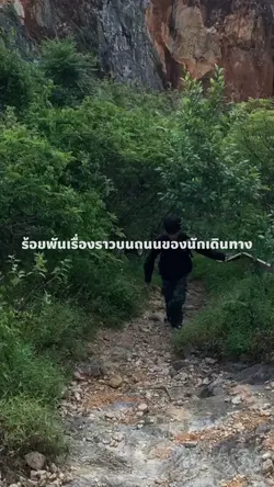 เดินป่าเดินเขา