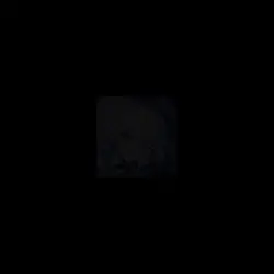 ハツコイソウ