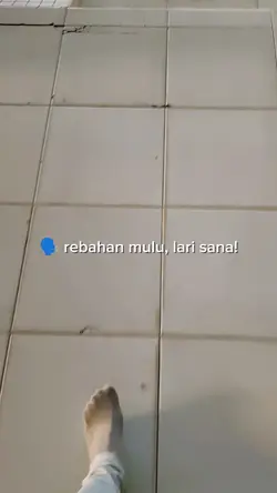 lari sana