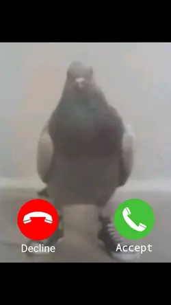 calling meme 📞