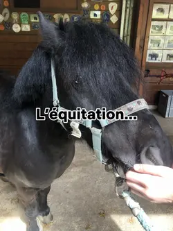 L’équitation…