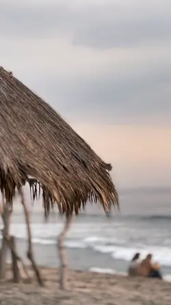 Bloodline