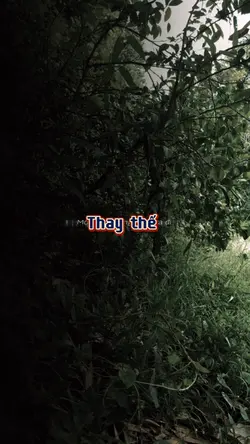 thay thế 