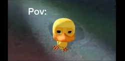 crying duck meme
