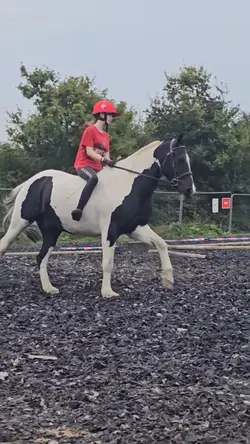 Pretty cow pony <3 