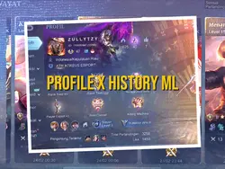 PROFILE X HISTORY ML
