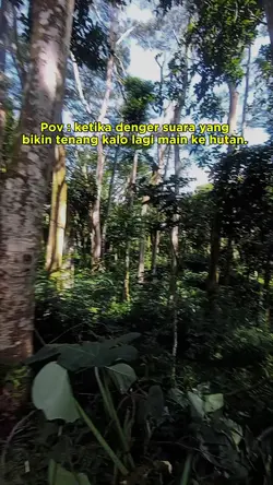 Suara Alam