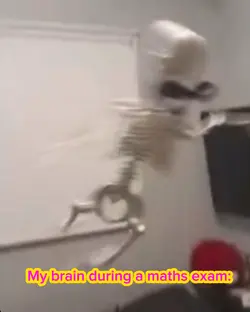 My brain during exam