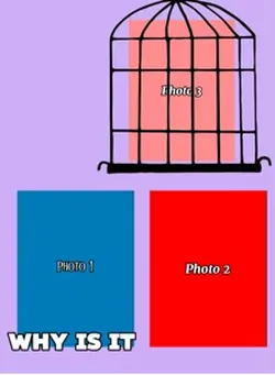 Why is it in a cage