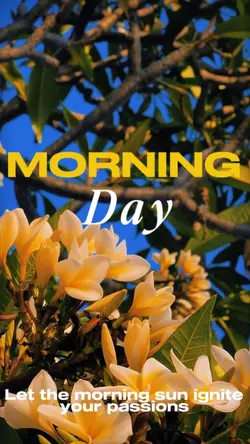 MORNING DAY