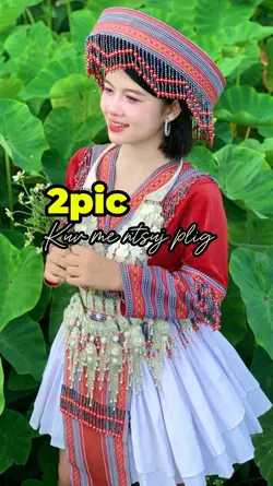 2pic hmongg