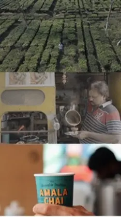 3 video split screen