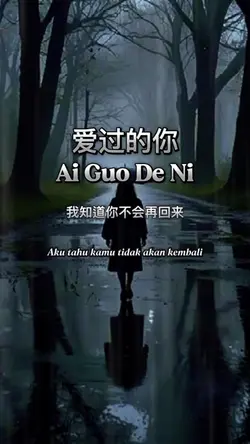 爱过的你