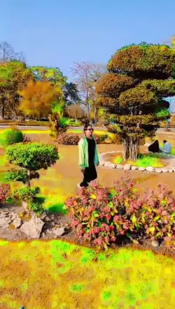 Dil Mera Shor Kare 