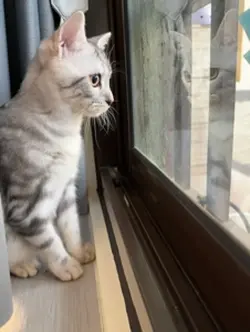 看第一場雨