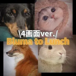 Bluma to Lunch 4画面✨