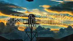 144px4k Trend