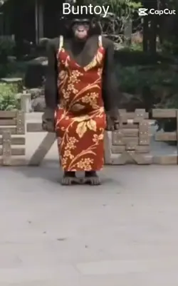 Dancing Monkey