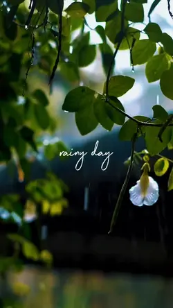 rainy day