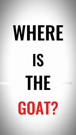 WHERE IS MY TREND | 