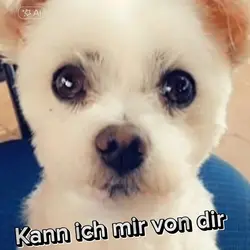 Kuss ausleihen 