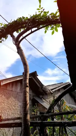 SLOWMO CEK SOUND 