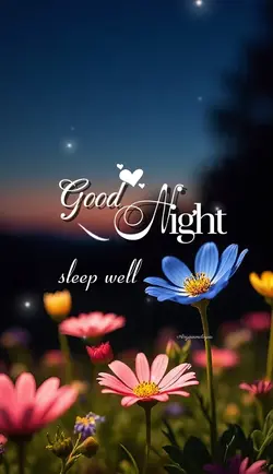 Good night