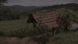 AESTHETIC VIDEO