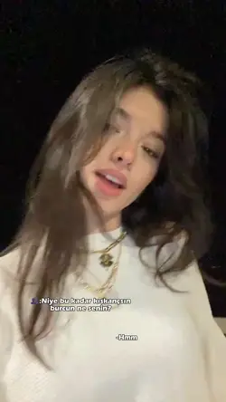 istek şablon aslan