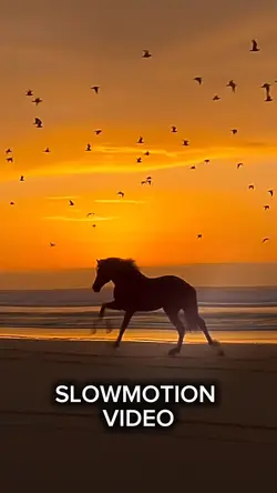 Slowmotion Video 