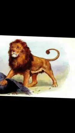 Aslan 