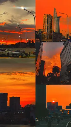 Filter senja