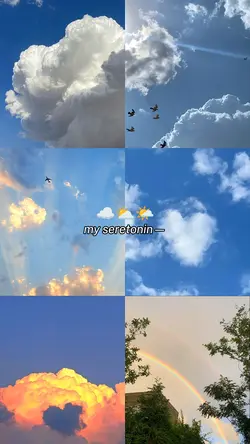 6 pic