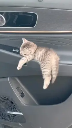bawa tidur aja